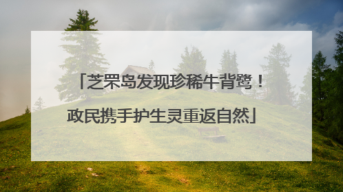 芝罘岛发现珍稀牛背鹭！政民携手护生灵重返自然
