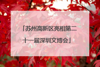 苏州高新区亮相第二十一届深圳文博会