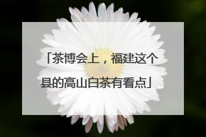 茶博会上，福建这个县的高山白茶有看点