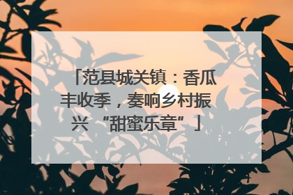 范县城关镇：香瓜丰收季，奏响乡村振兴 “甜蜜乐章”