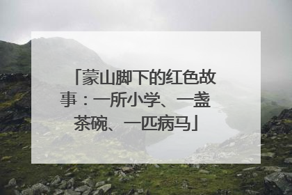 蒙山脚下的红色故事：一所小学、一盏茶碗、一匹病马