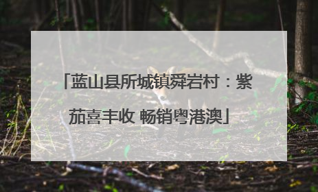 蓝山县所城镇舜岩村：紫茄喜丰收 畅销粤港澳