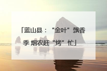 蓝山县：“金叶”飘香季 烟农赶“烤”忙
