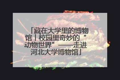 藏在大学里的博物馆丨校园里奇妙的“动物世界”——走进河北大学博物馆