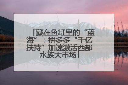 藏在鱼缸里的“蓝海”：拼多多“千亿扶持”加速激活西部水族大市场