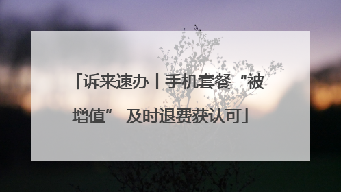 诉来速办丨手机套餐“被增值” 及时退费获认可