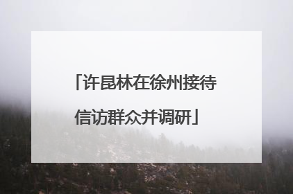 许昆林在徐州接待信访群众并调研