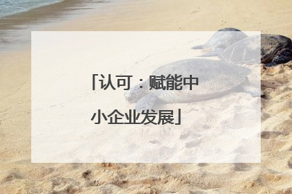 认可：赋能中小企业发展