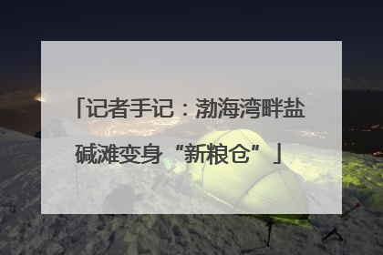 记者手记：渤海湾畔盐碱滩变身“新粮仓”