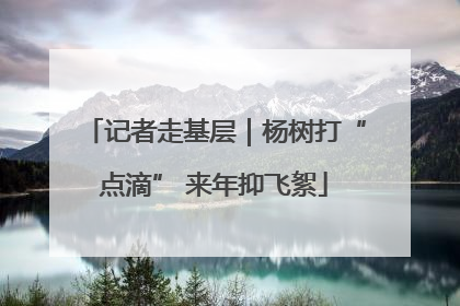 记者走基层｜杨树打“点滴” 来年抑飞絮