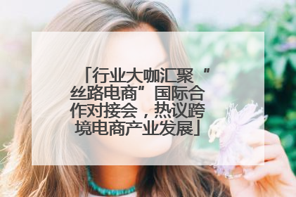 行业大咖汇聚“丝路电商”国际合作对接会，热议跨境电商产业发展
