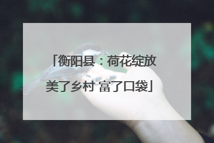 衡阳县：荷花绽放 美了乡村 富了口袋