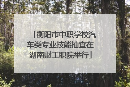 衡阳市中职学校汽车类专业技能抽查在湖南财工职院举行