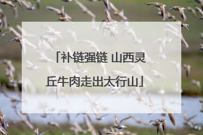 补链强链 山西灵丘牛肉走出太行山