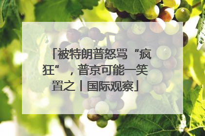被特朗普怒骂“疯狂”，普京可能一笑置之丨国际观察