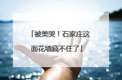 被美哭！石家庄这面花墙藏不住了