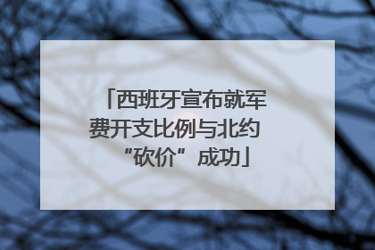 西班牙宣布就军费开支比例与北约“砍价”成功