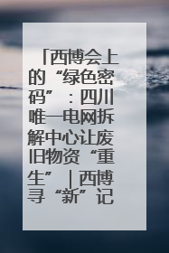 西博会上的“绿色密码”：四川唯一电网拆解中心让废旧物资“重生”｜西博寻“新”记