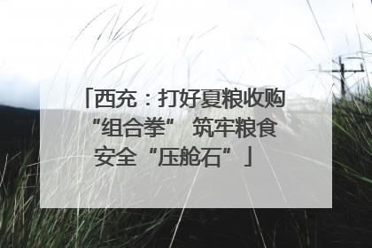 西充：打好夏粮收购“组合拳” 筑牢粮食安全“压舱石”