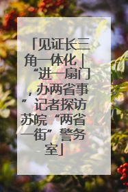 见证长三角一体化｜“进一扇门，办两省事”记者探访苏皖“两省一街”警务室