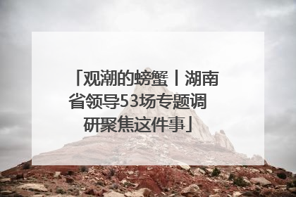 观潮的螃蟹丨湖南省领导53场专题调研聚焦这件事