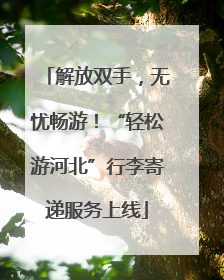 解放双手，无忧畅游！“轻松游河北”行李寄递服务上线