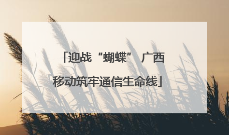 迎战“蝴蝶” 广西移动筑牢通信生命线