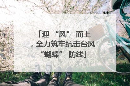 迎 “风” 而上，全力筑牢抗击台风 “蝴蝶” 防线