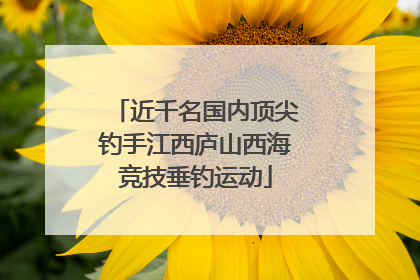 近千名国内顶尖钓手江西庐山西海竞技垂钓运动