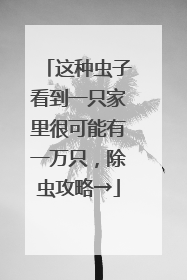 这种虫子看到一只家里很可能有一万只，除虫攻略→