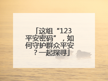 这组“123平安密码”，如何守护群众平安？一起探寻