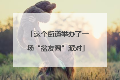 这个街道举办了一场“盆友圈”派对