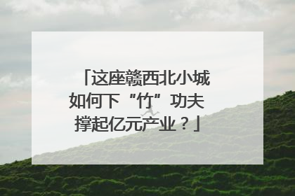 这座赣西北小城如何下“竹”功夫撑起亿元产业？