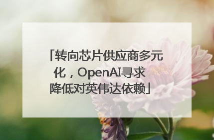 转向芯片供应商多元化，OpenAI寻求降低对英伟达依赖