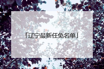 辽宁最新任免名单