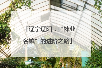 辽宁辽阳：“袜业名镇”的进阶之路