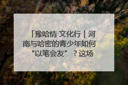 豫哈情 文化行｜河南与哈密的青少年如何 “以笔会友”？这场书画展藏着答案
