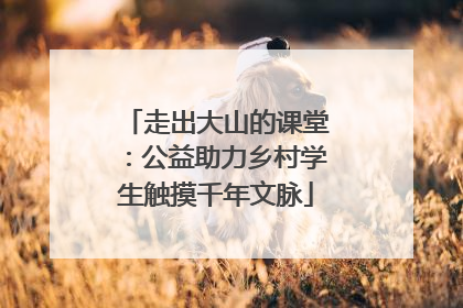 走出大山的课堂：公益助力乡村学生触摸千年文脉