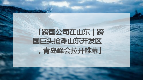 跨国公司在山东｜跨国巨头抢滩山东开发区，青岛峰会拉开帷幕