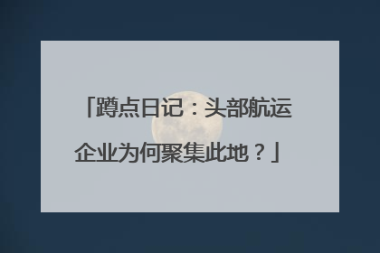 蹲点日记：头部航运企业为何聚集此地？