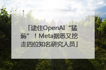 逮住OpenAI“猛薅”！Meta据悉又挖走四位知名研究人员