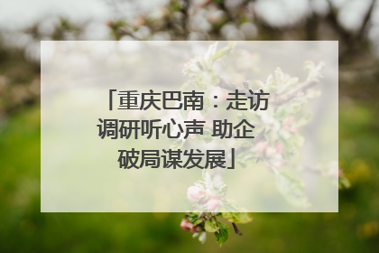 重庆巴南：走访调研听心声 助企破局谋发展