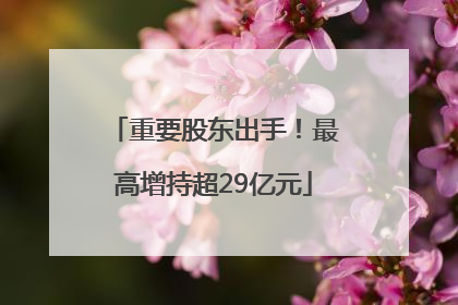 重要股东出手！最高增持超29亿元