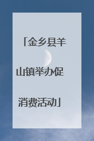 金乡县羊山镇举办促消费活动