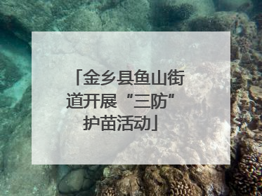 金乡县鱼山街道开展“三防”护苗活动