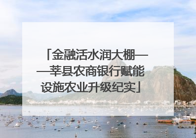 金融活水润大棚——莘县农商银行赋能设施农业升级纪实