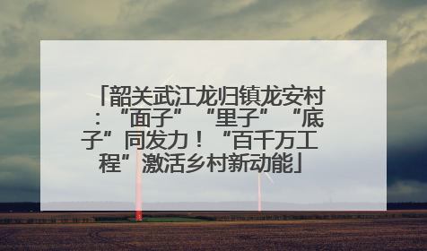 韶关武江龙归镇龙安村：“面子”“里子”“底子”同发力！“百千万工程”激活乡村新动能