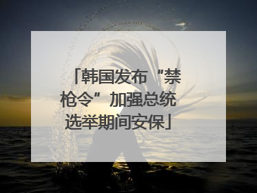 韩国发布“禁枪令”加强总统选举期间安保