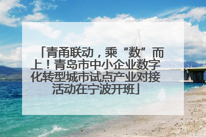 青甬联动，乘“数”而上！青岛市中小企业数字化转型城市试点产业对接活动在宁波开班