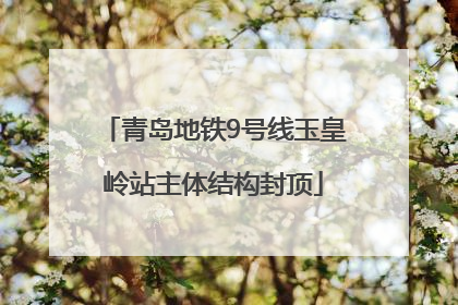 青岛地铁9号线玉皇岭站主体结构封顶